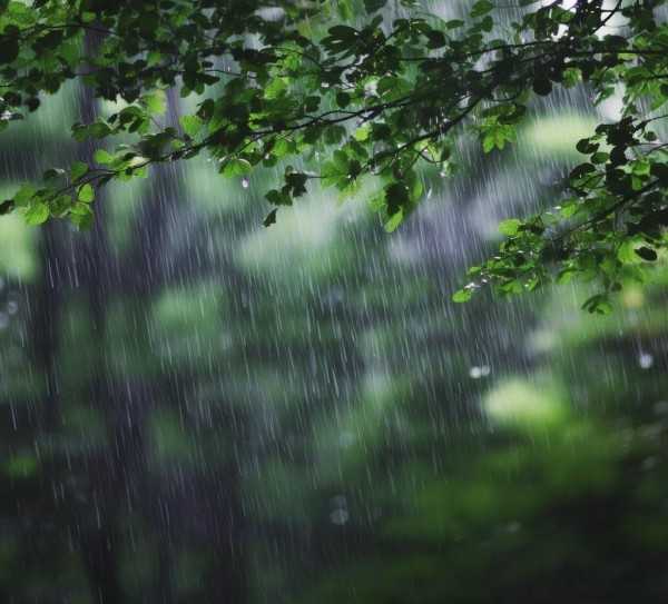 雨的的呢喃，描绘雨中情韵的诗句集