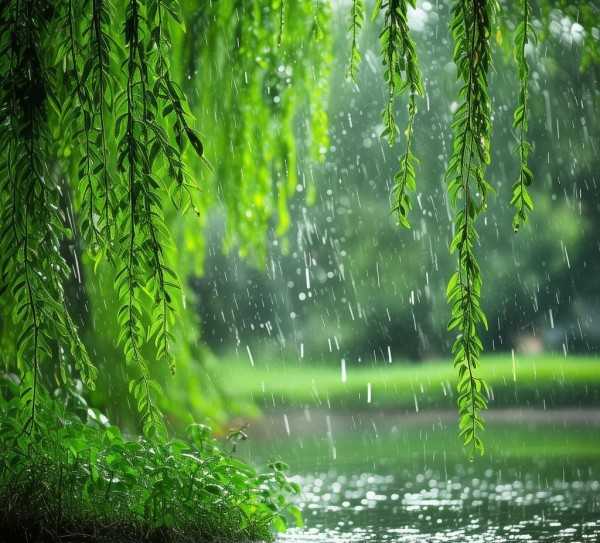 春雨如诗，诗意盎然——春雨美景佳句集锦